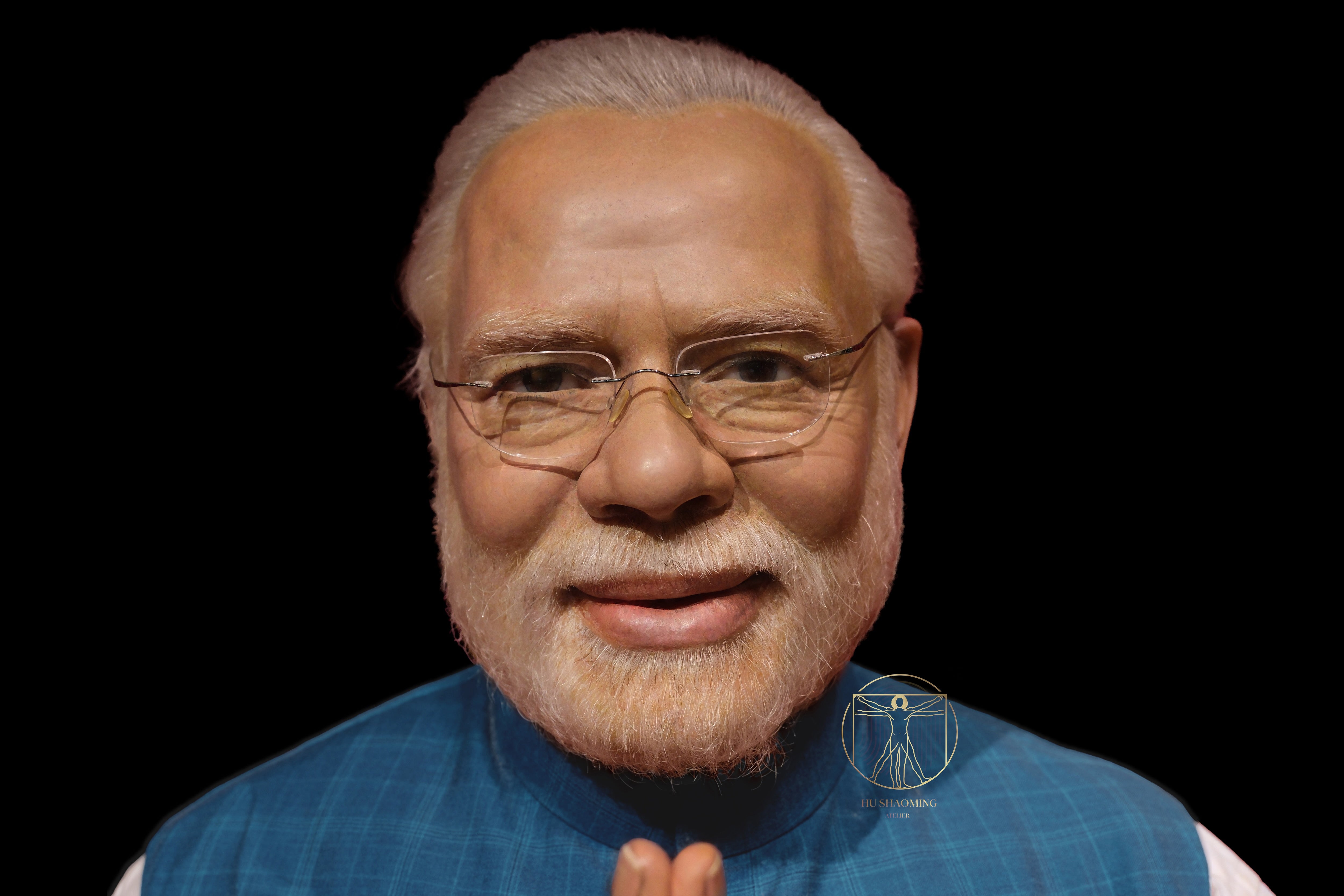 Narendra Modi: Portrait of a Head of State