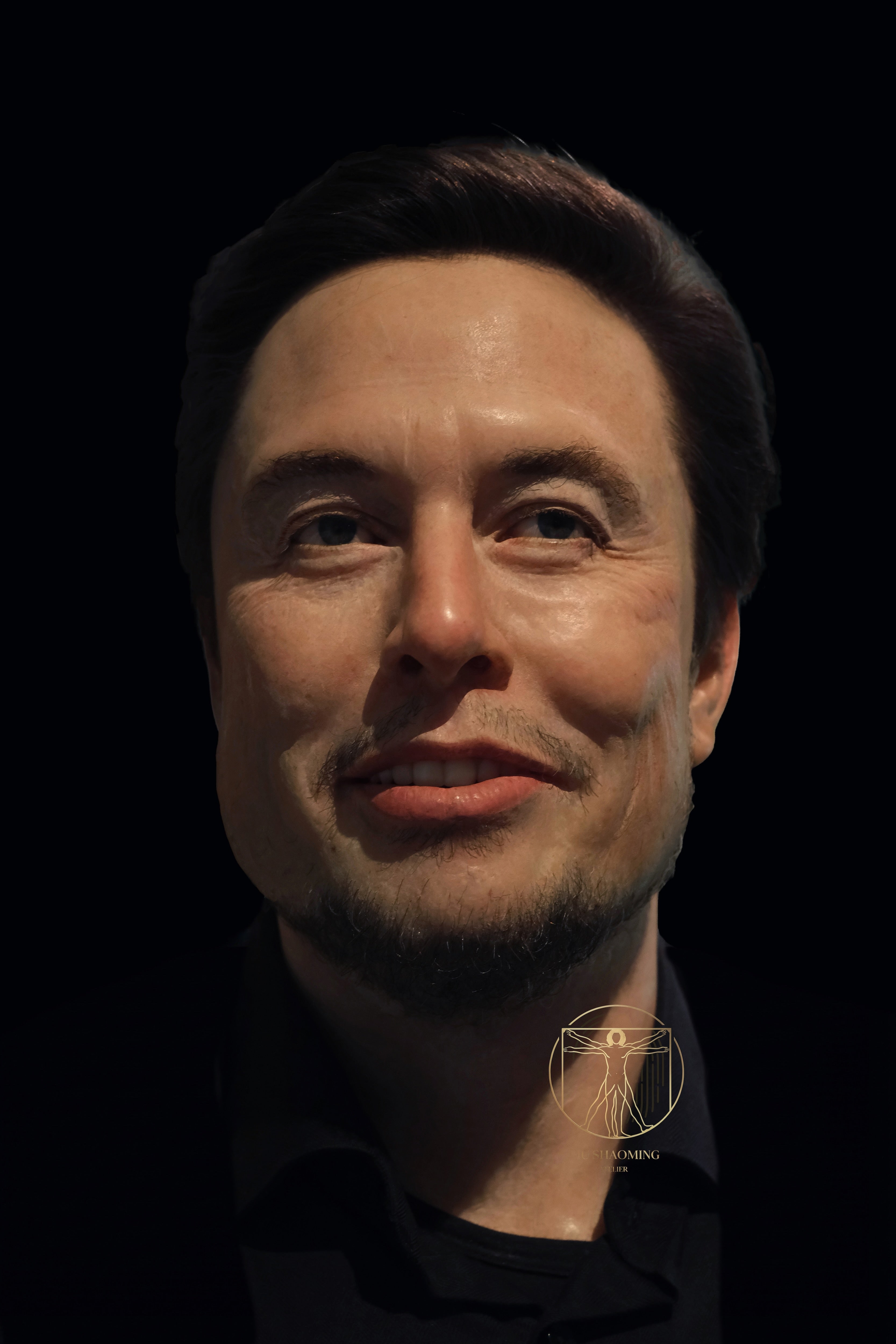 Elon Musk: The Vision of Conviction