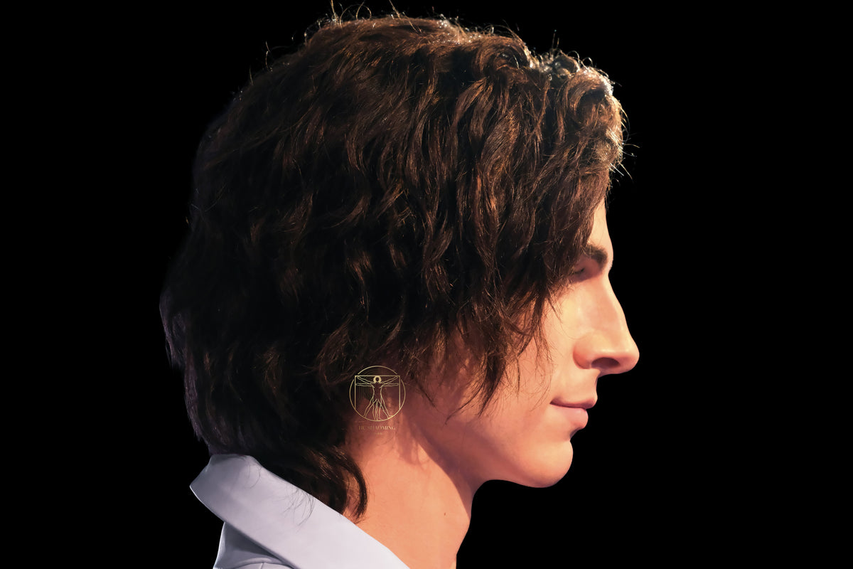 Side profile of Timothée Chalamet statue highlighting manual curly brown hair transplantation