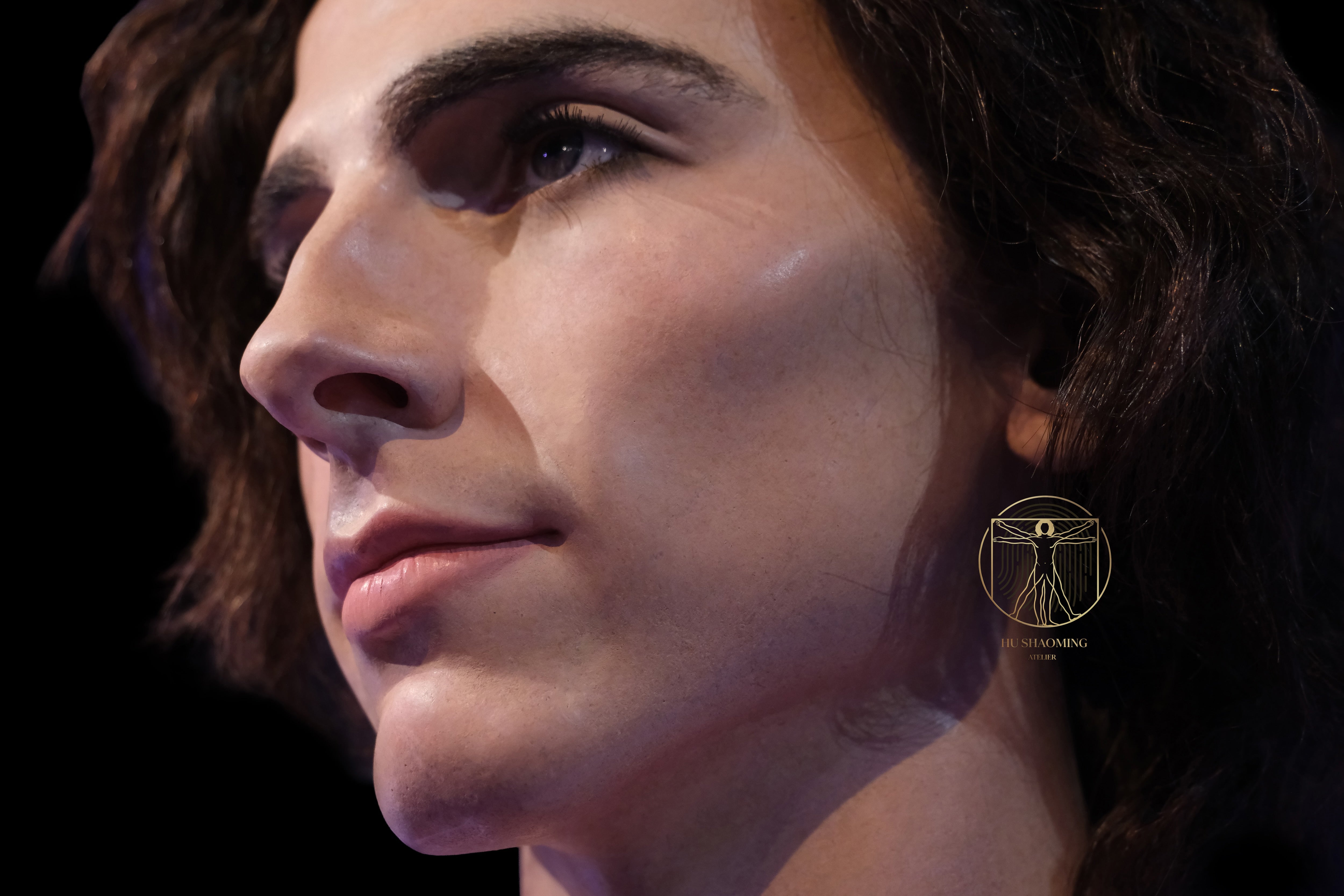 Timothée Chalamet: The Modern Paradox
