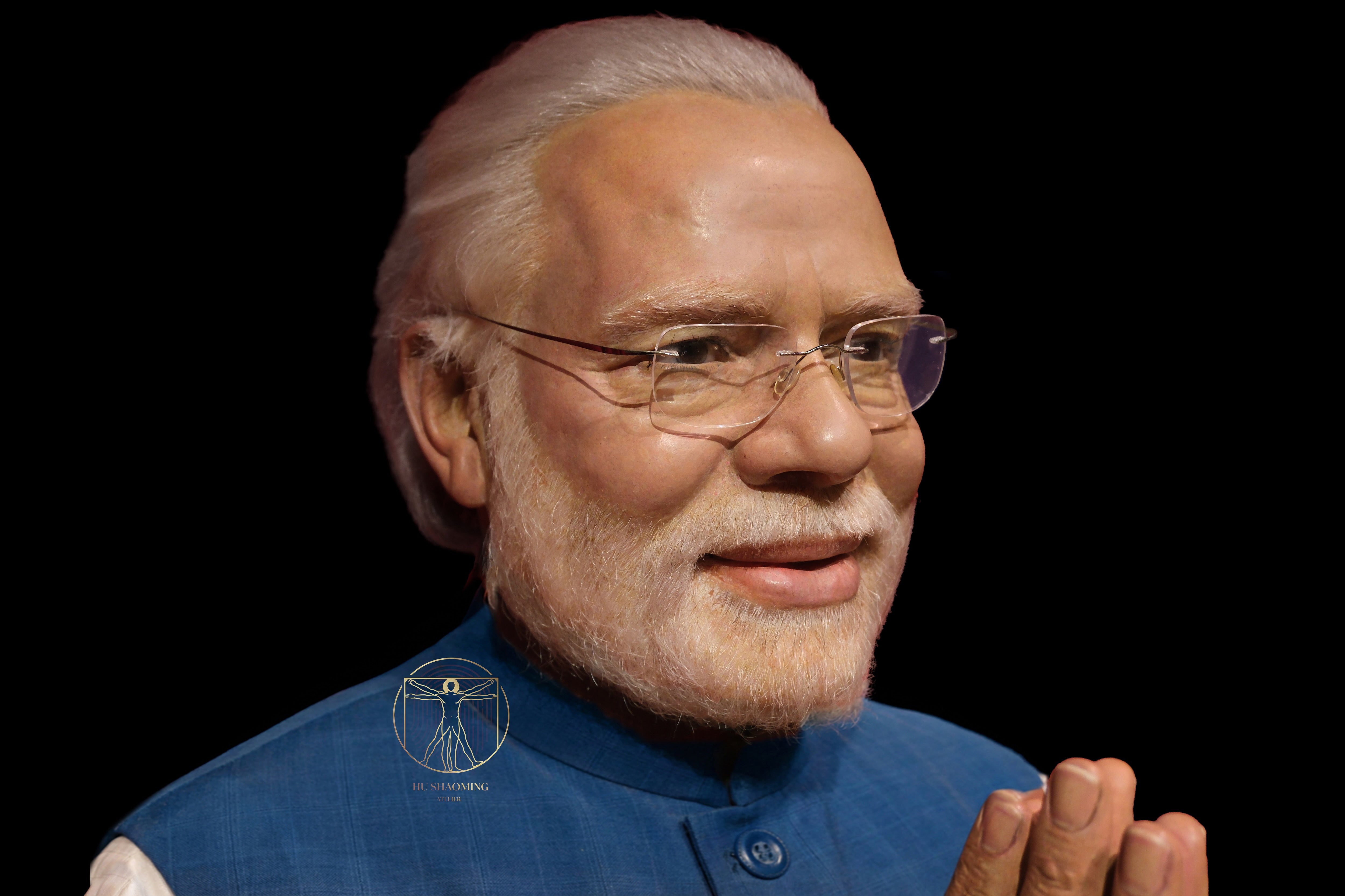 Narendra Modi: Portrait of a Head of State