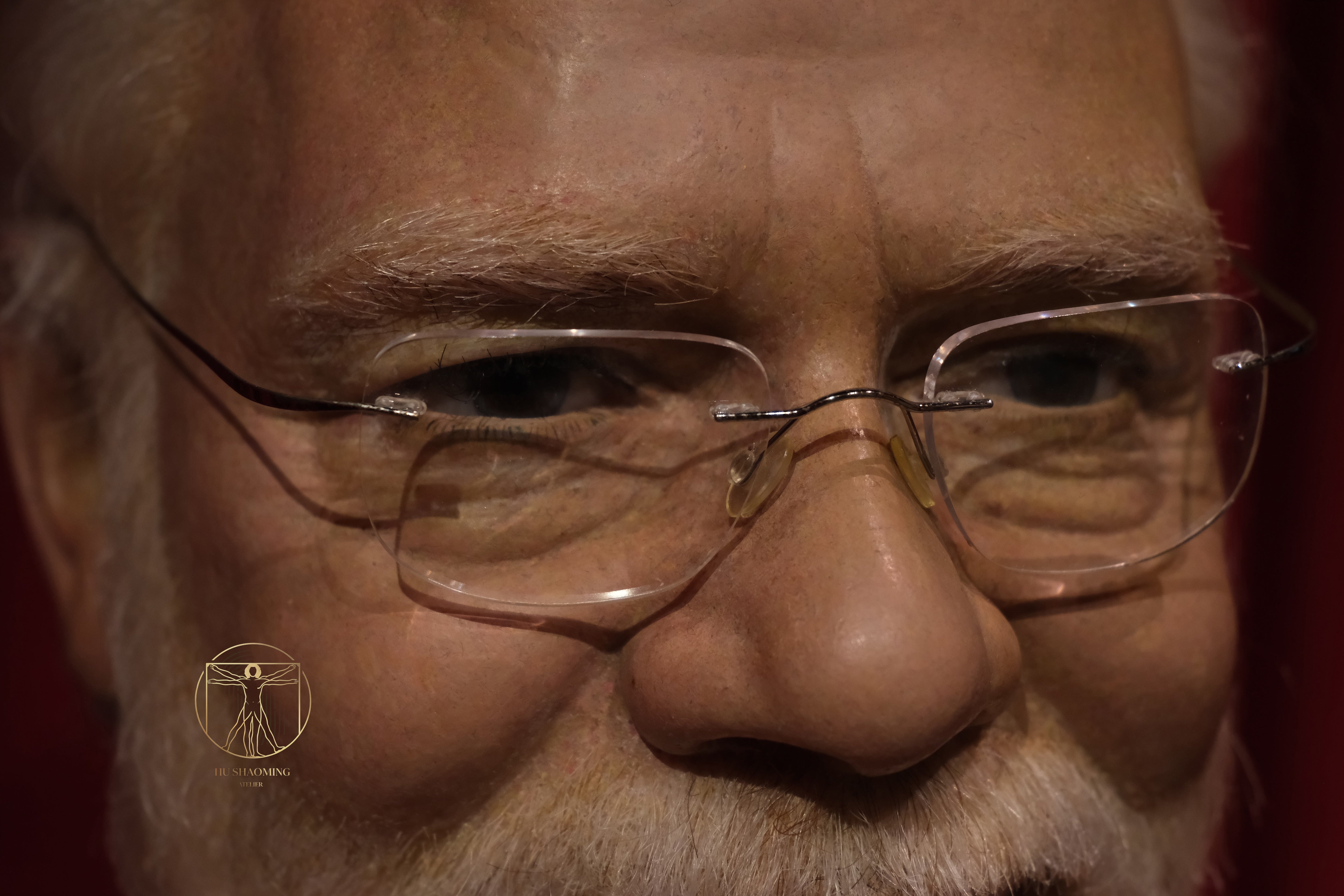 Narendra Modi: Portrait of a Head of State