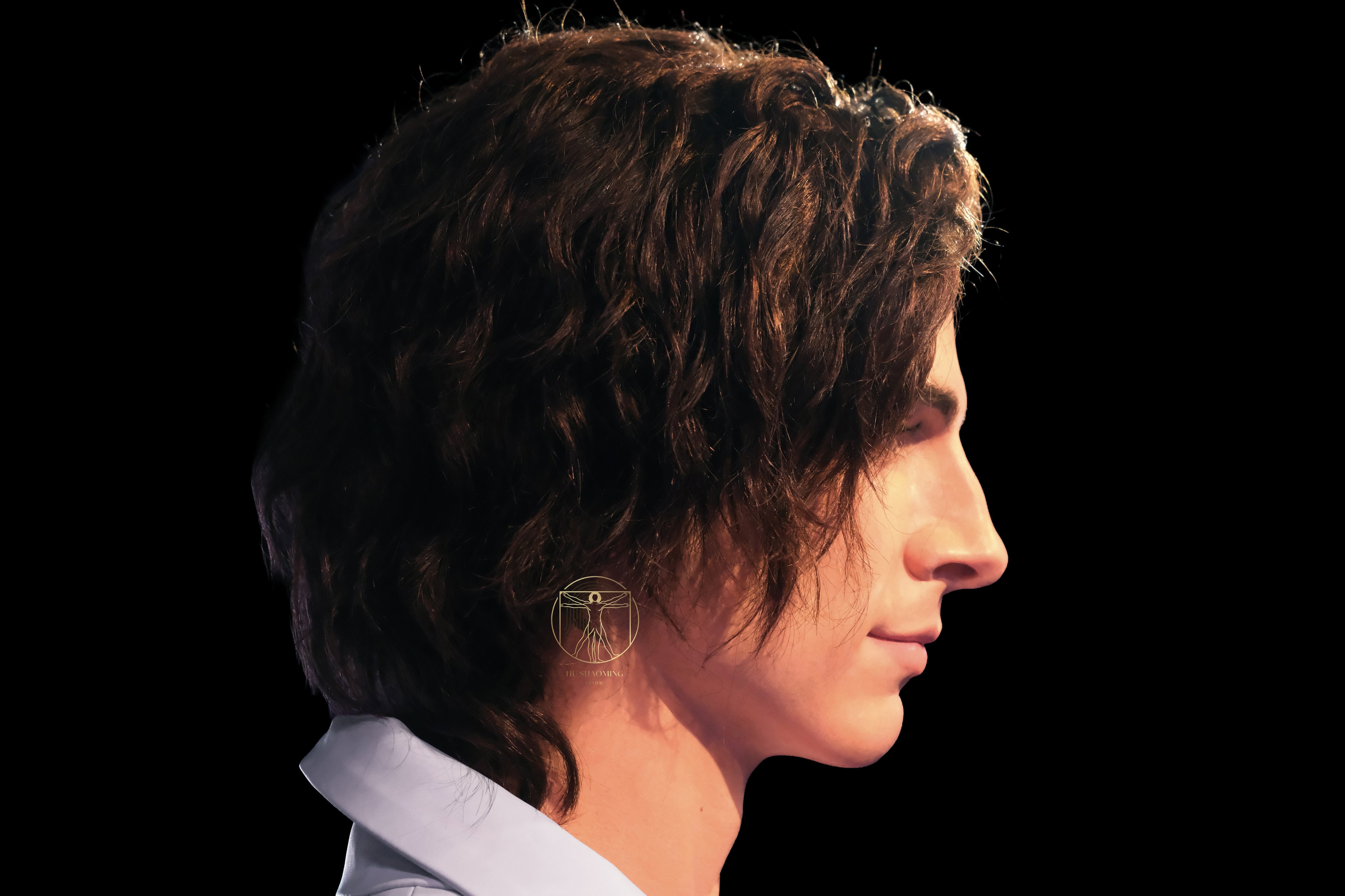Timothée Chalamet: The Modern Paradox