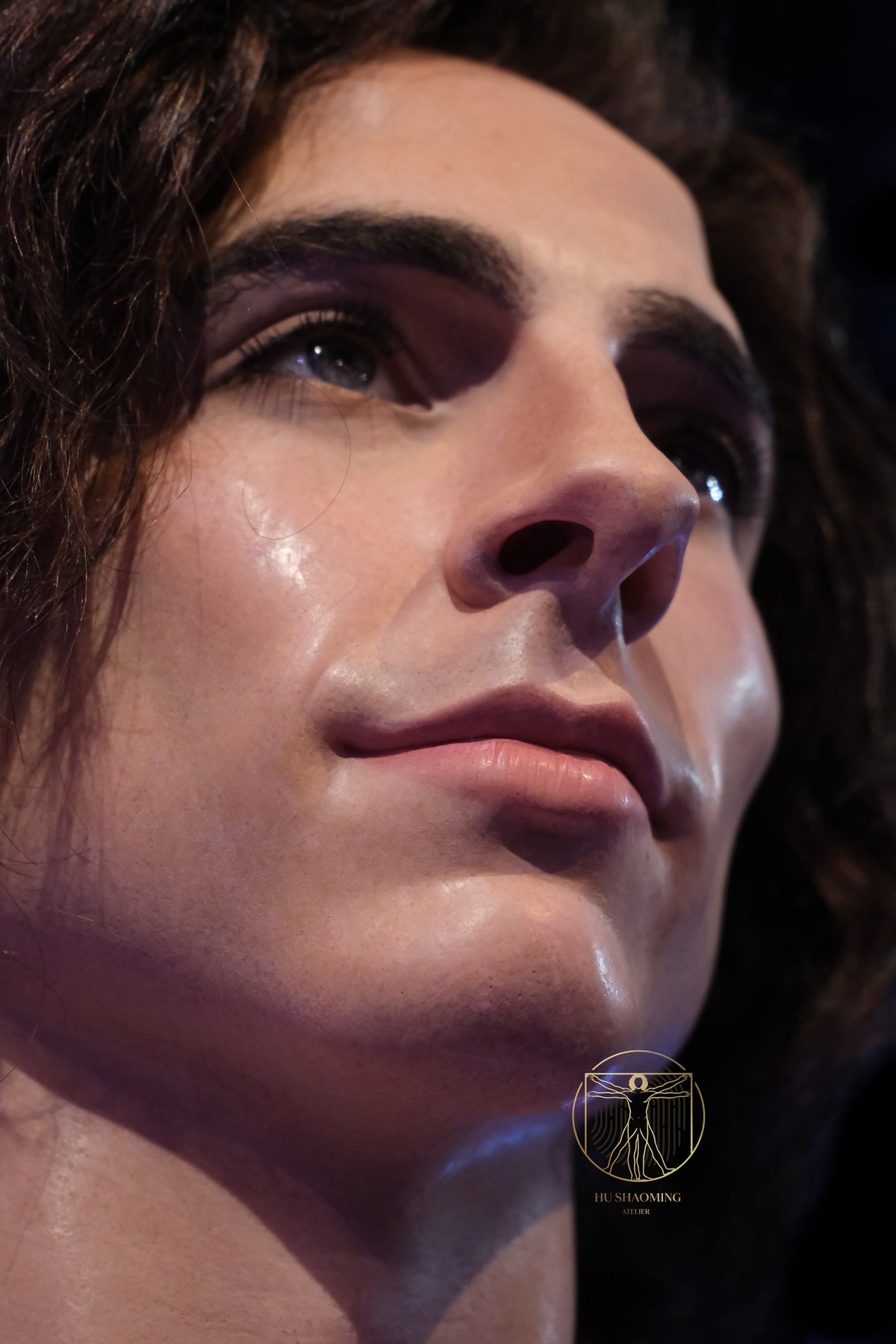 Macro view of realistic lips, jawline, and skin texture on Timothée Chalamet custom figure